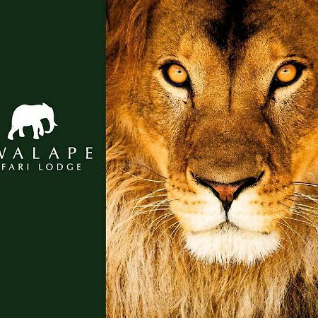 Kwalape Safari Lodge คาซาเนอ ภายนอก รูปภาพ