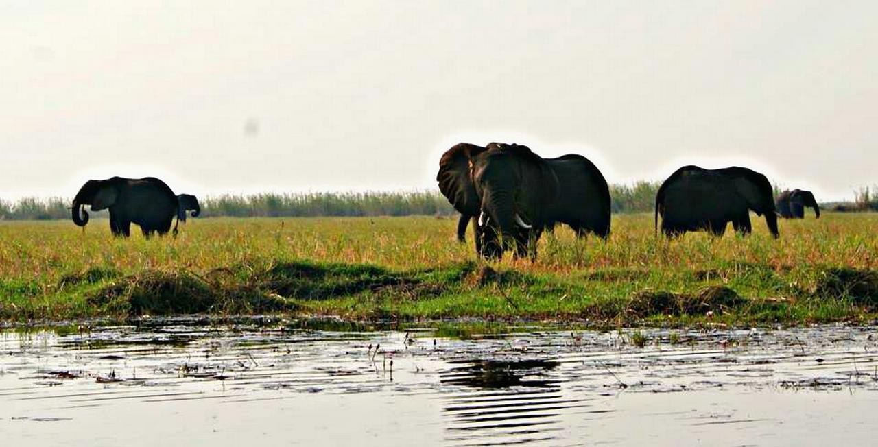 Kwalape Safari Lodge คาซาเนอ ภายนอก รูปภาพ