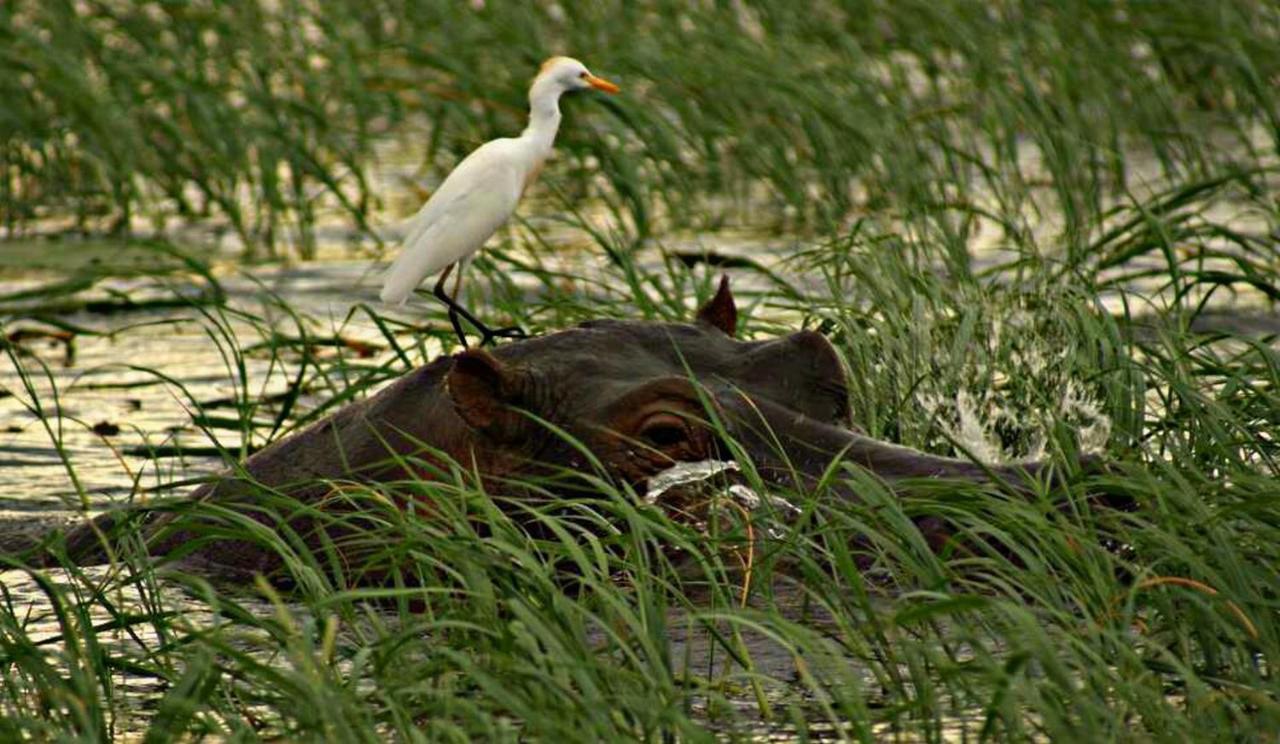 Kwalape Safari Lodge คาซาเนอ ภายนอก รูปภาพ